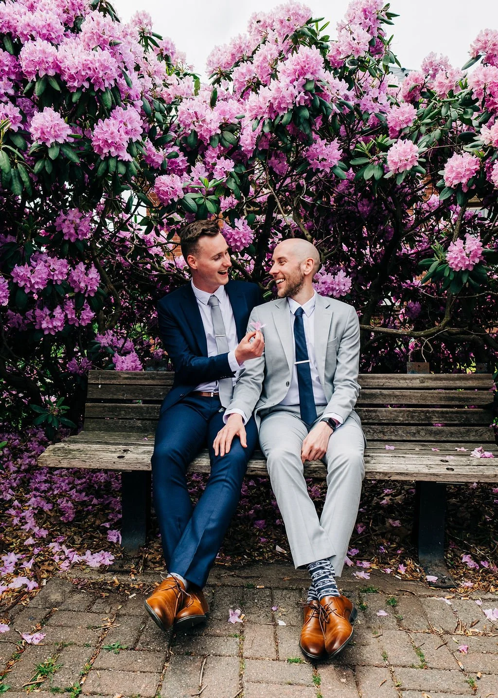 Two men in suits sitting on a wooden bench, smiling and laughing, surrounded by pink and purple flowering bushes.