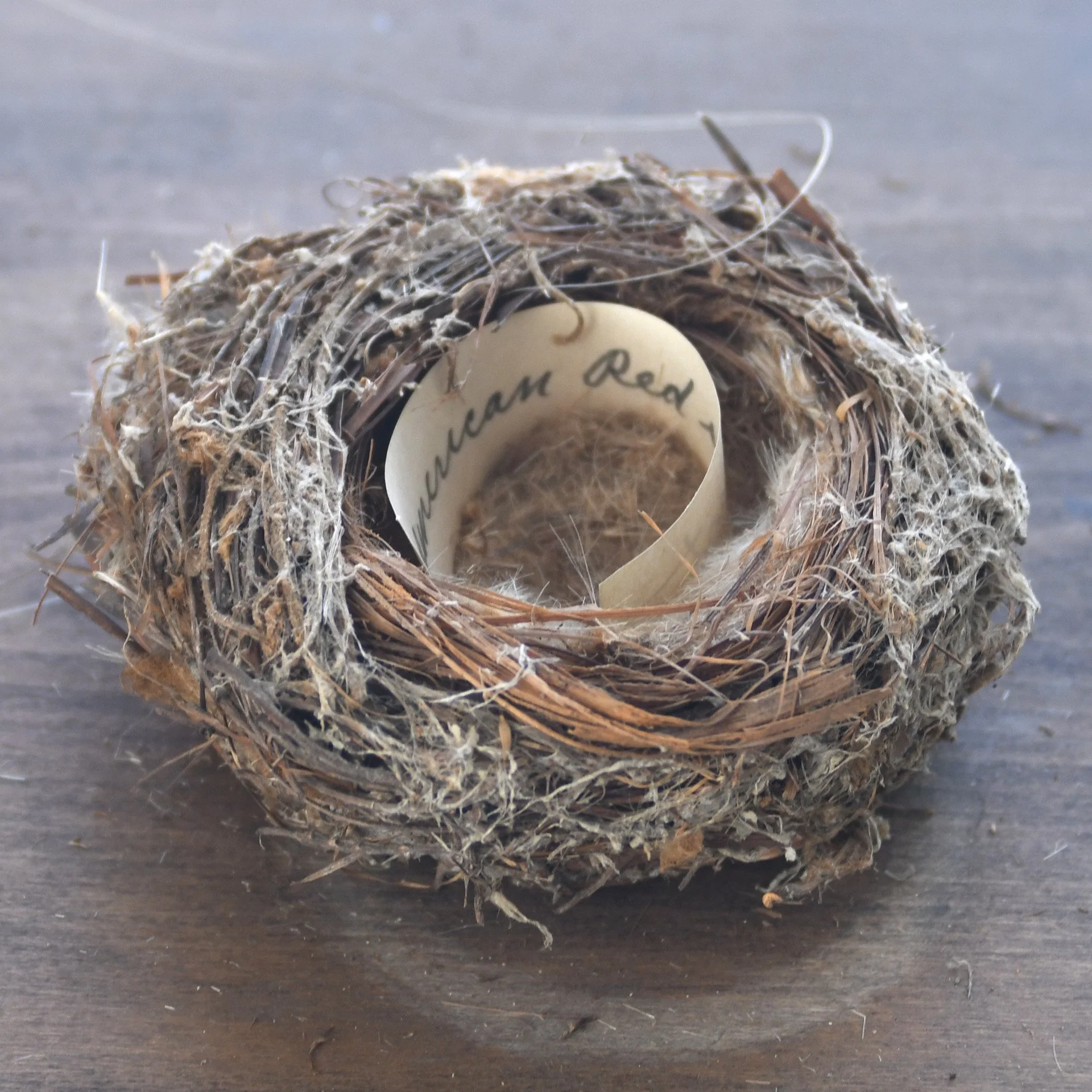 A bird's nest made of twigs, straw, and feathers with a small white egg with writing on it inside the nest, placed on a wooden surface.
