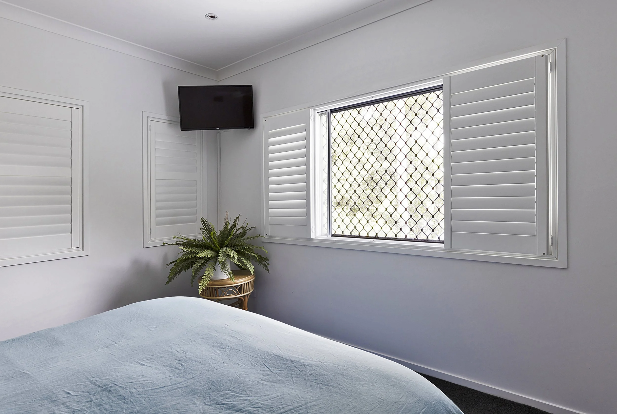 A bedroom with white walls, plantation shutters on windows, a wall-mounted TV, a green potted plant on rattan stand, and part of a bed with a light blue cover.