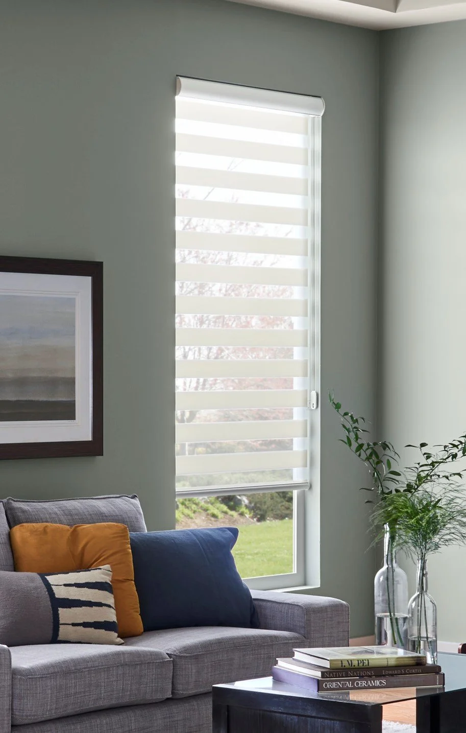 Banded Zebra Shades