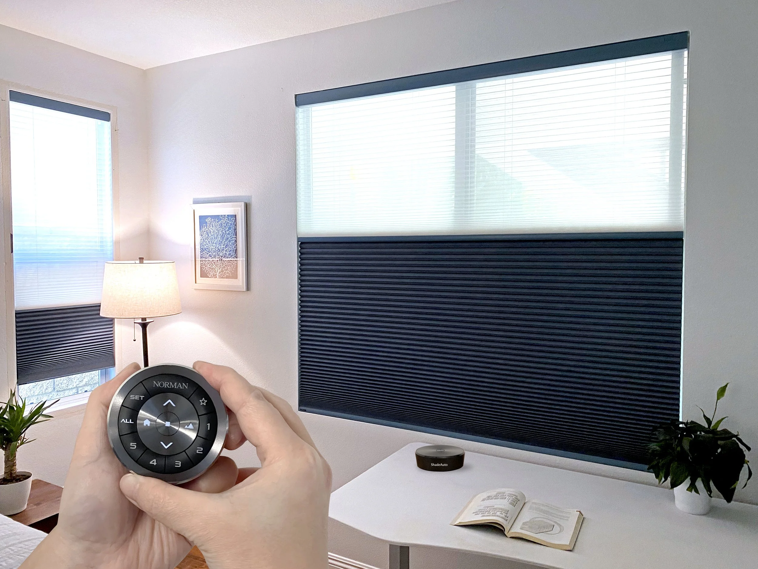 A person holding a remote control in front of a room with large windows, blinds, a desk with an open book, and potted plants.