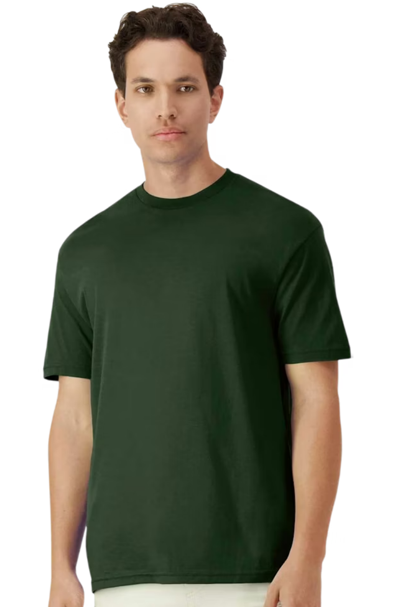 T-Shirts (All Colors)