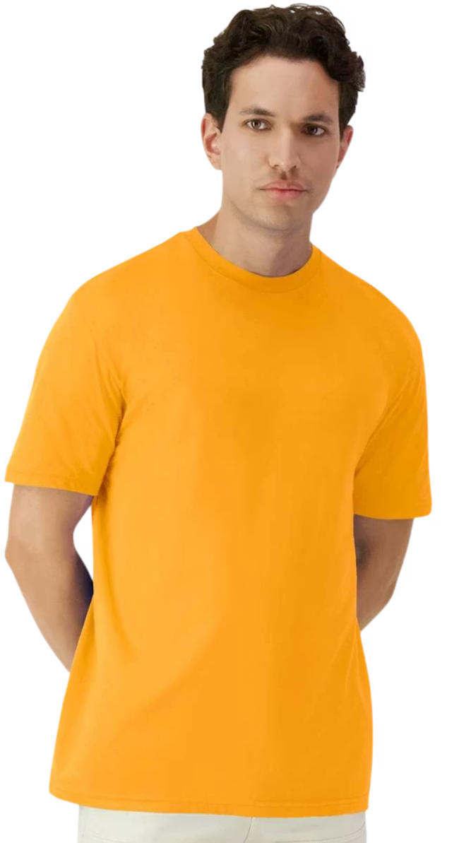 T-Shirts (All Colors)