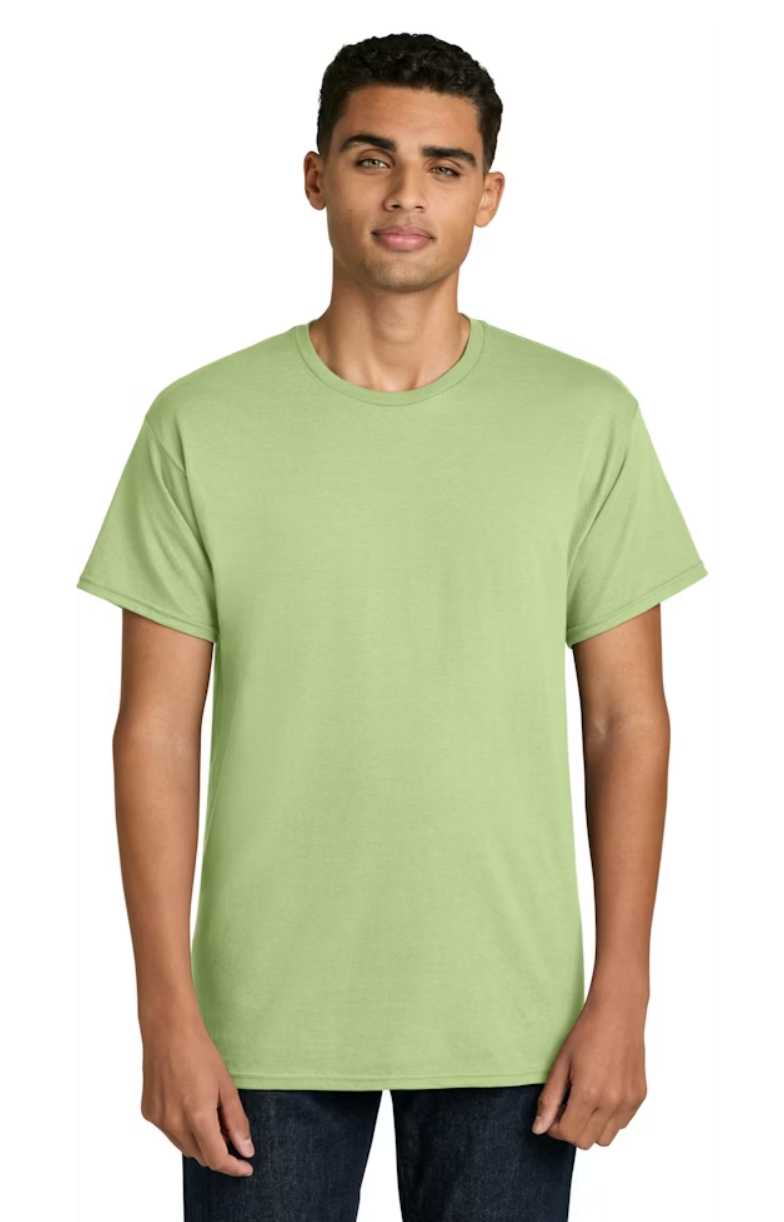 T-Shirts (All Colors)