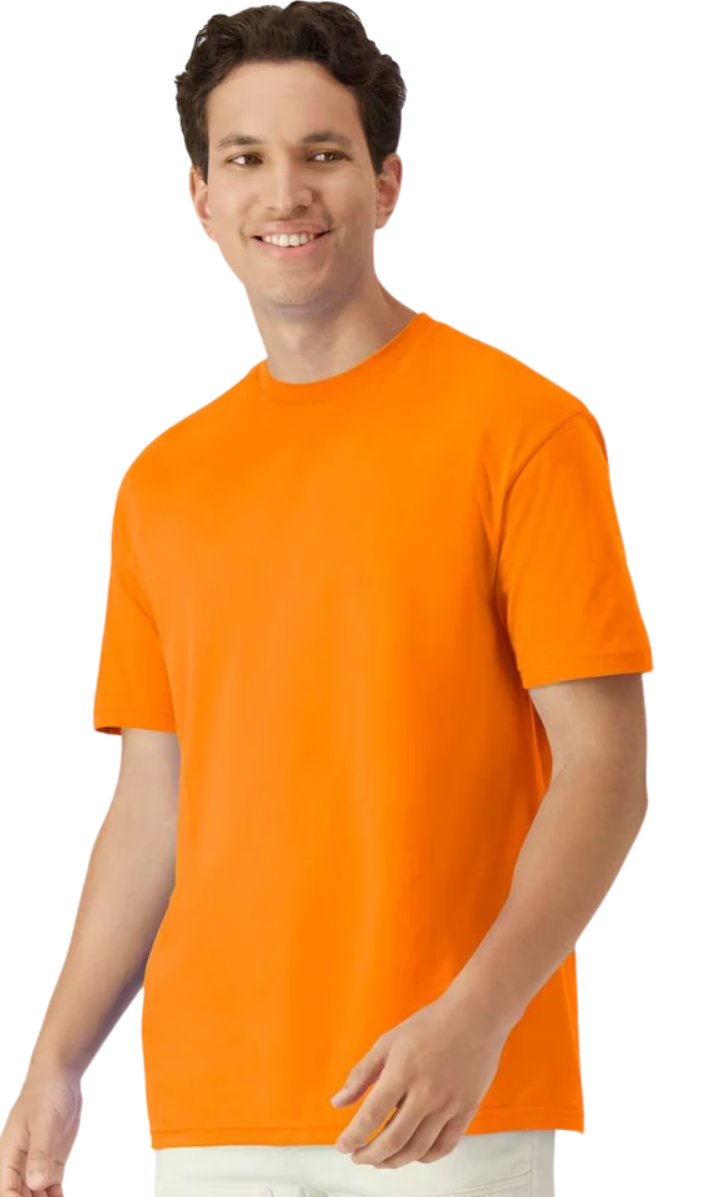 T-Shirts (All Colors)