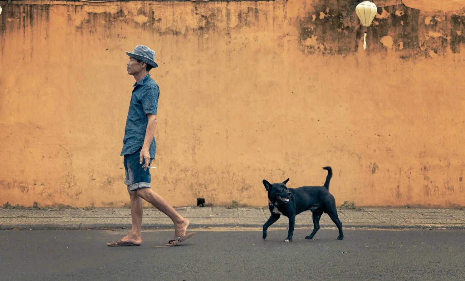 viet man and dog hoi an vignette.jpg