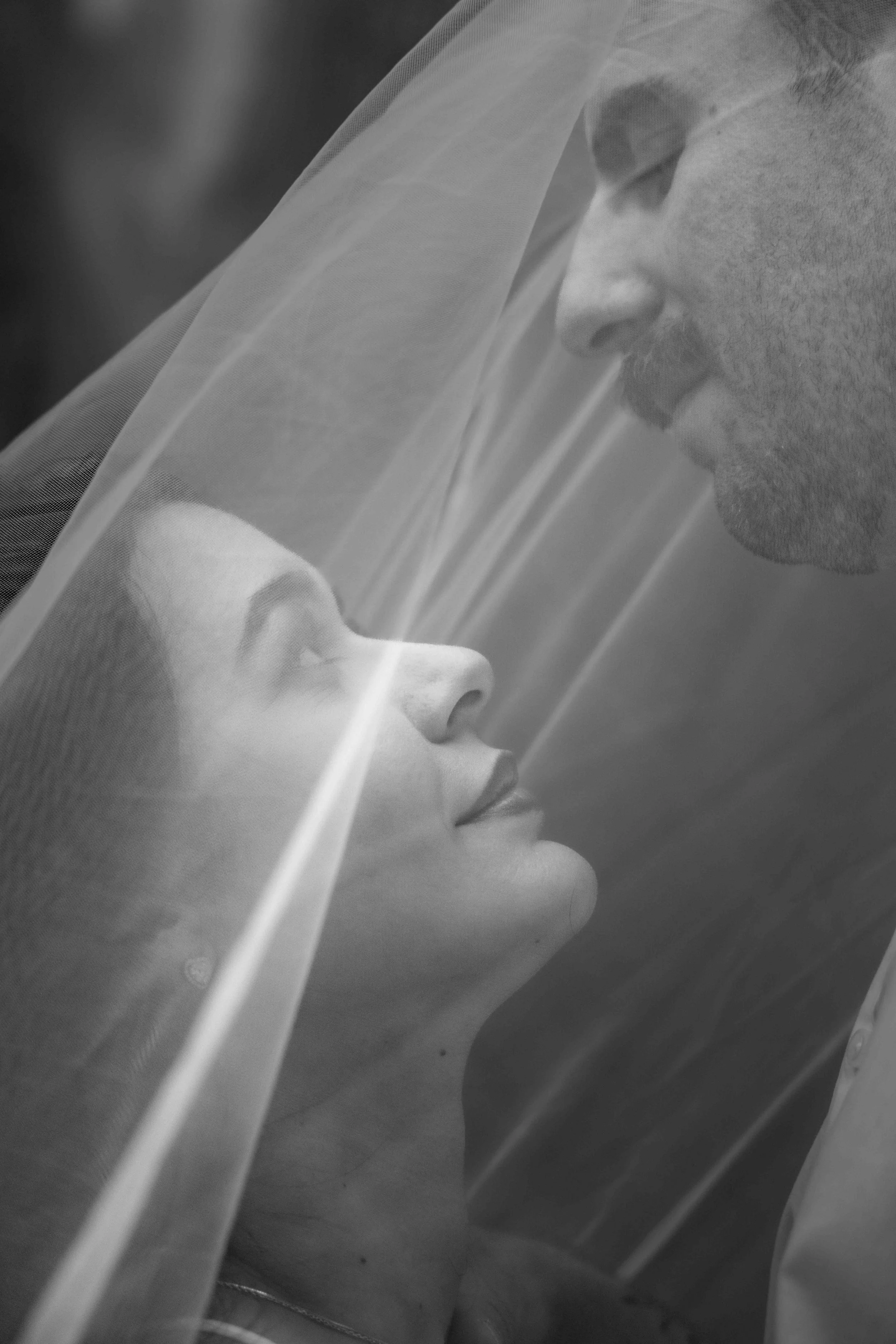 under the veil profile bw copy.jpeg