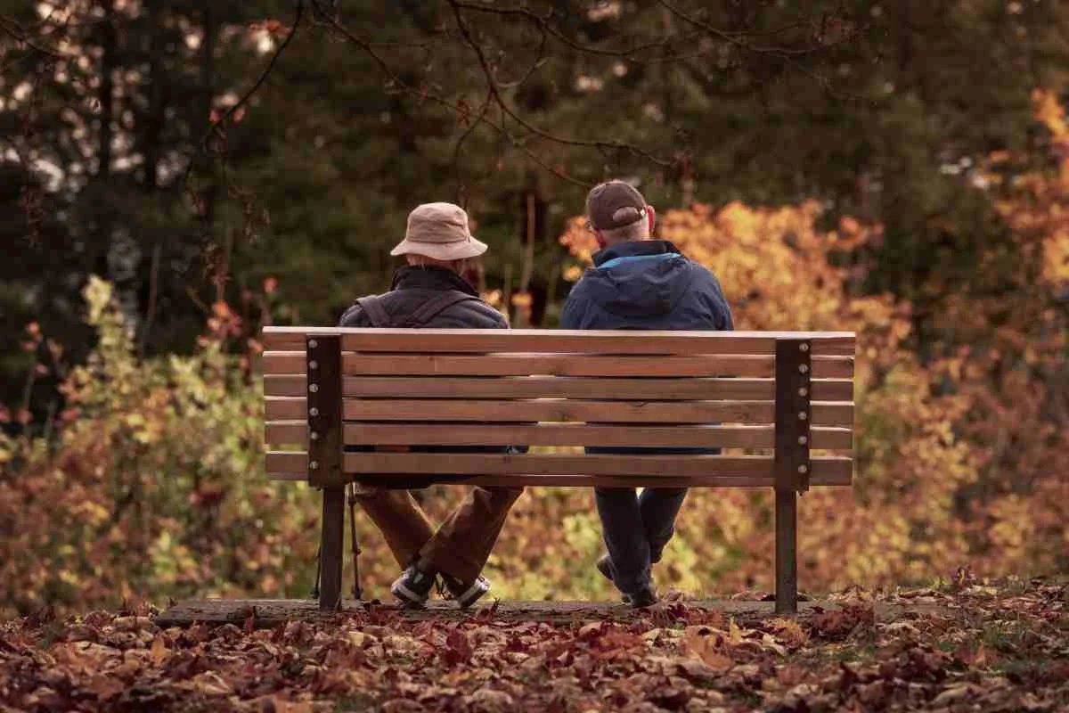 old friends on a bench from behind copy.jpg