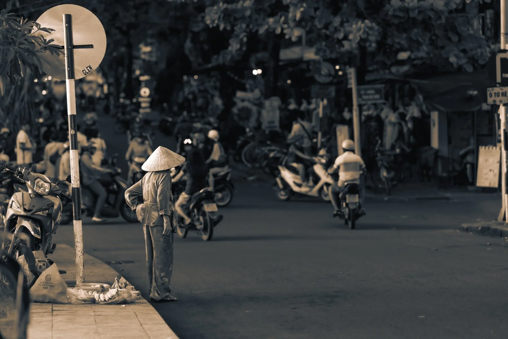 old lady by the road 2 sepia.jpg