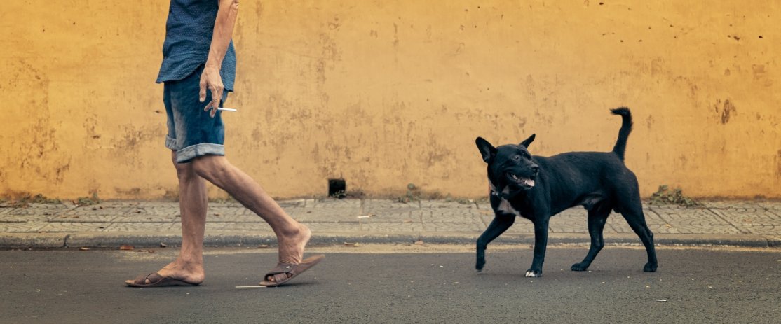 viet man and dog hoi an2 vignette.jpg