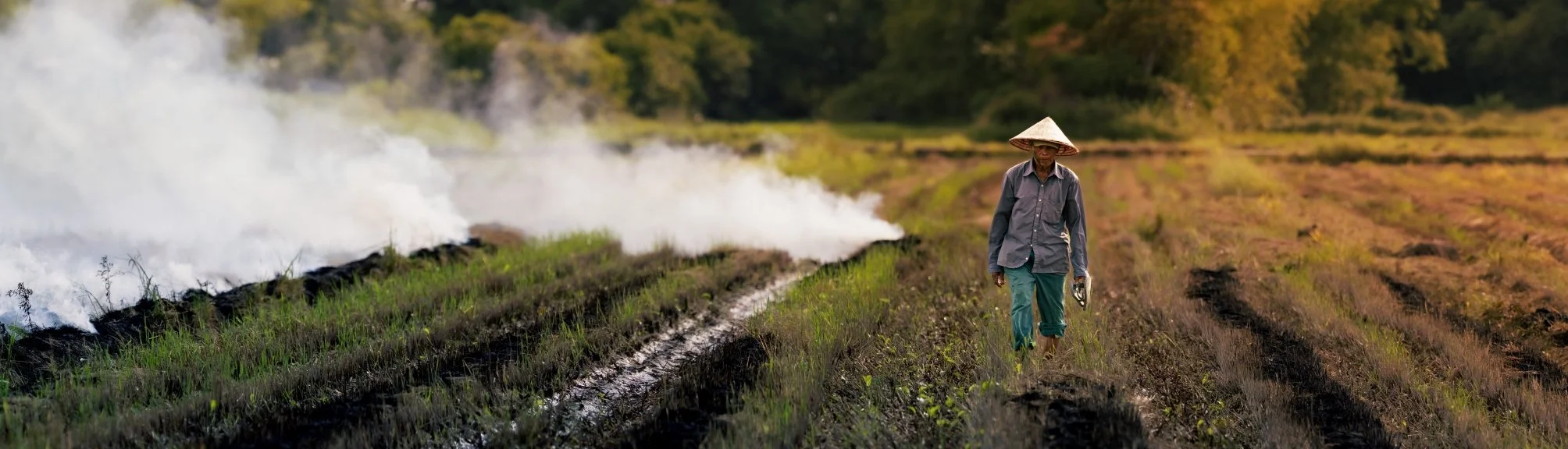 smokey farmer greener attempt copy left justified.jpg