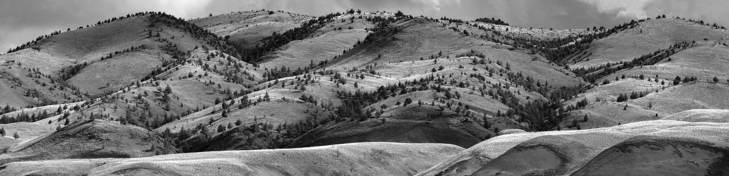 Oregon Desert Minimalism BW.jpg