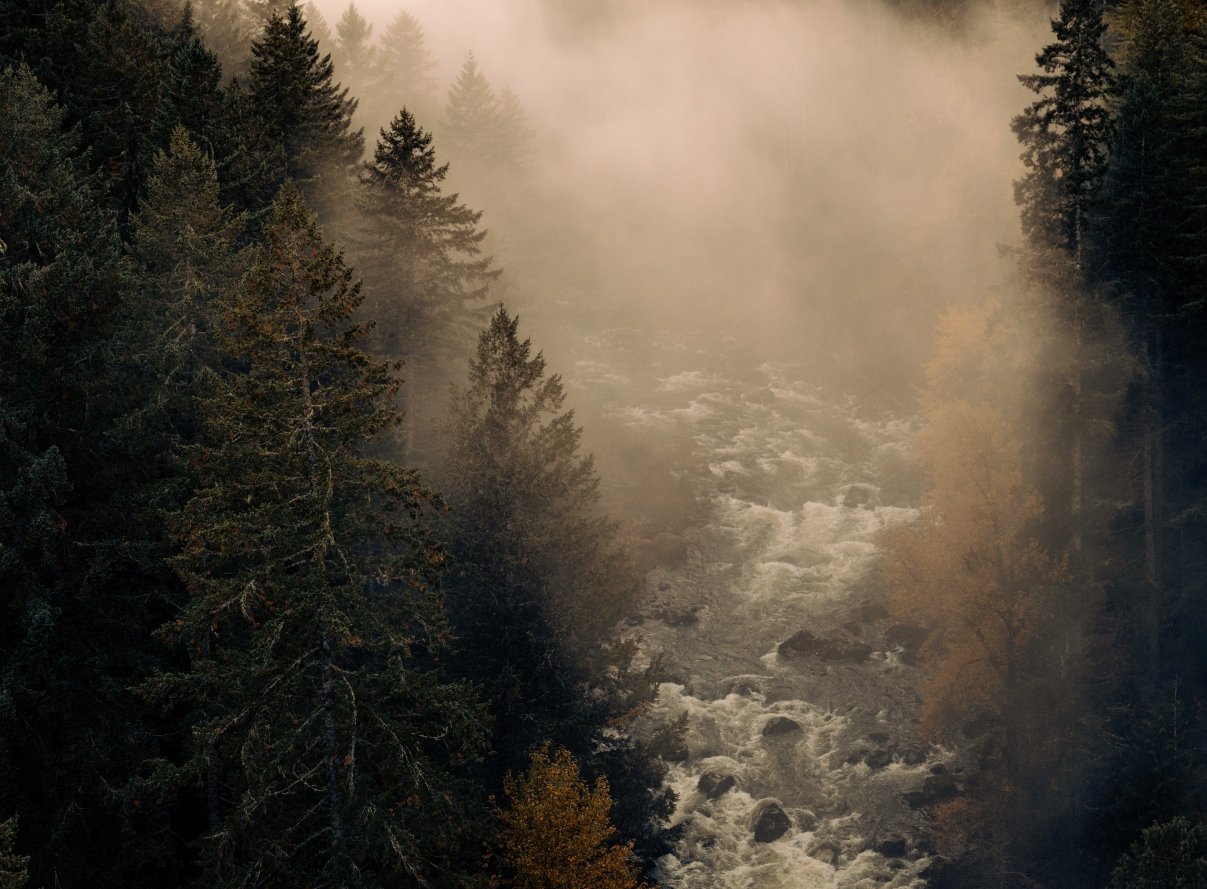 foggy wild river copy.jpg