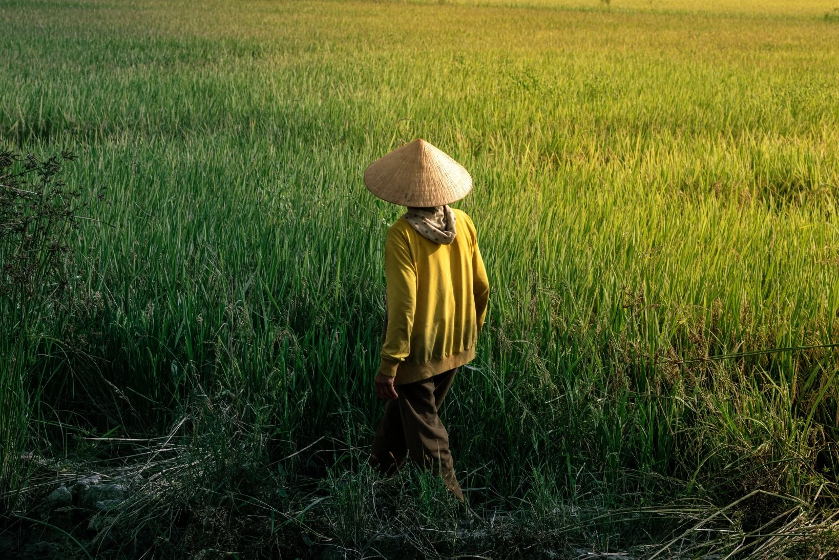 against the grain satur copy.jpg