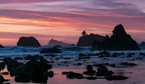 crescent sunset copy.jpg