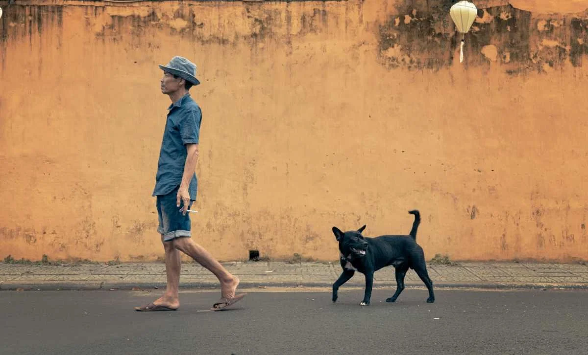 viet man and dog hoi an vignette.jpg