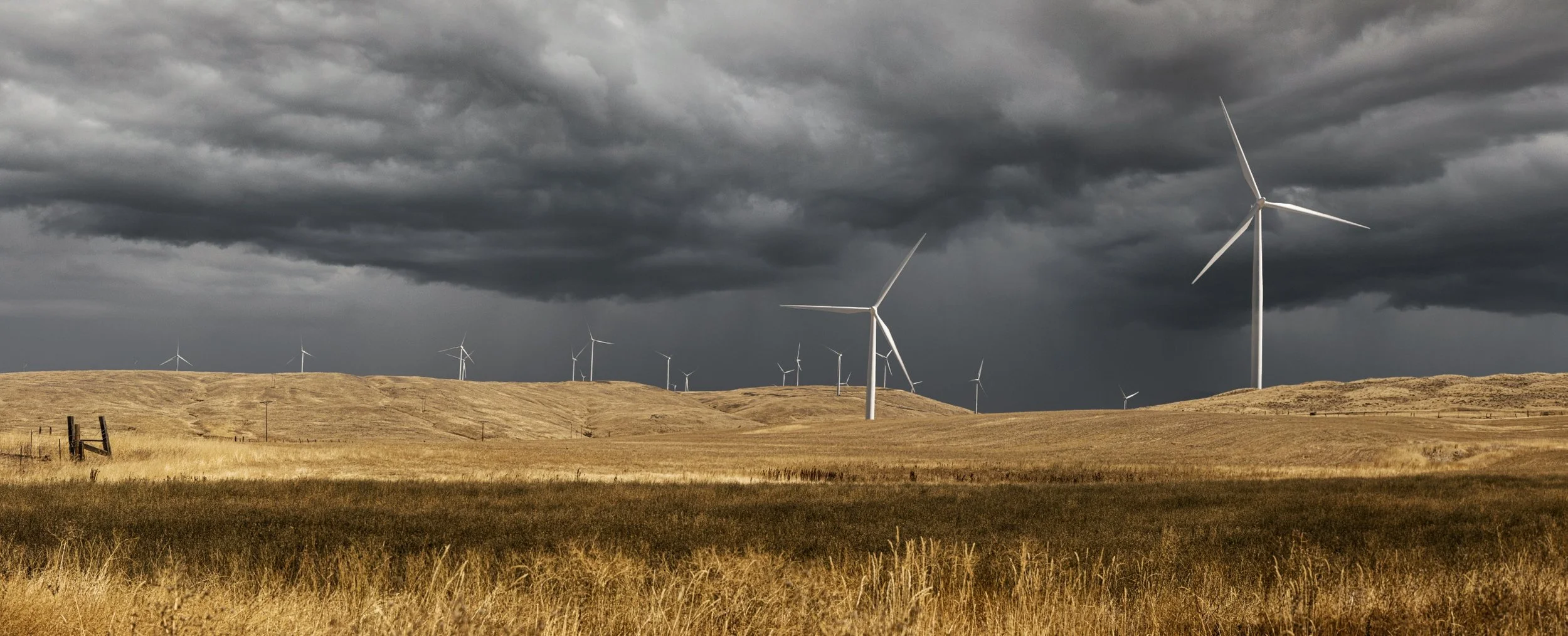 wheat field windmill.jpg