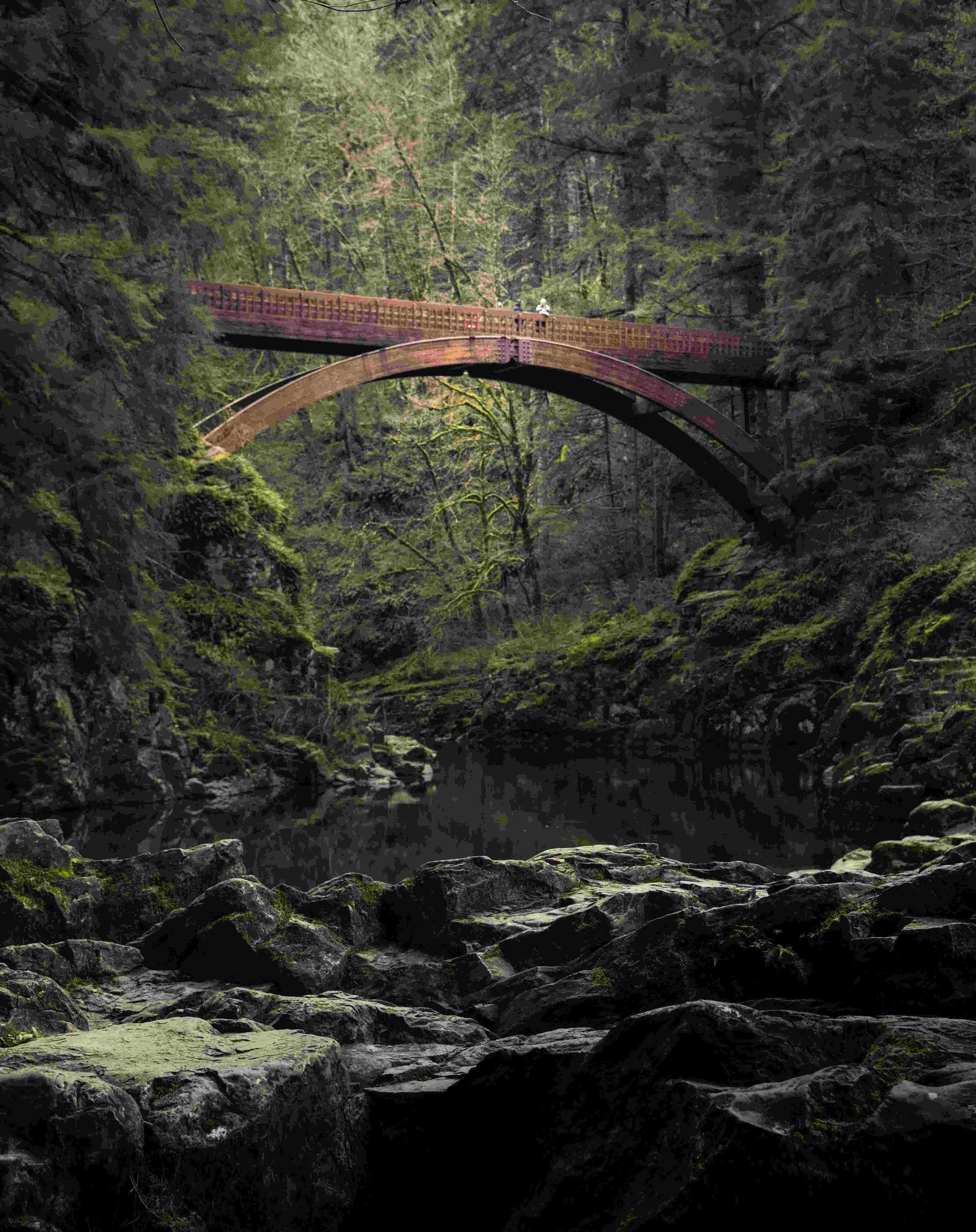 Wooden Bridge in a PNW Forest