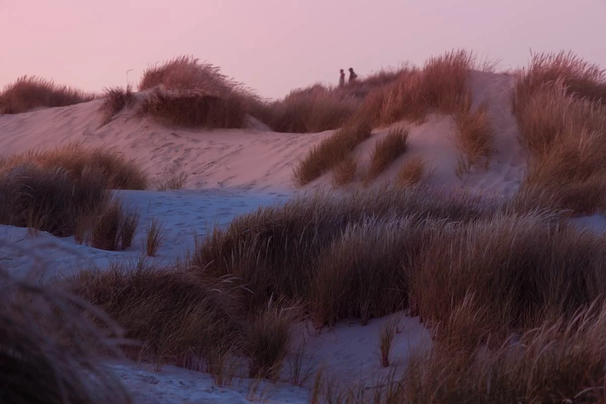 oregon coastal sand dunes copy.jpg