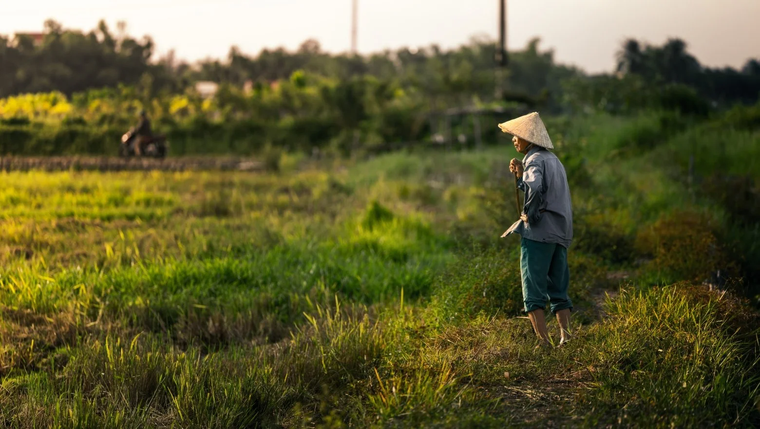 farmer surveying copy.jpg