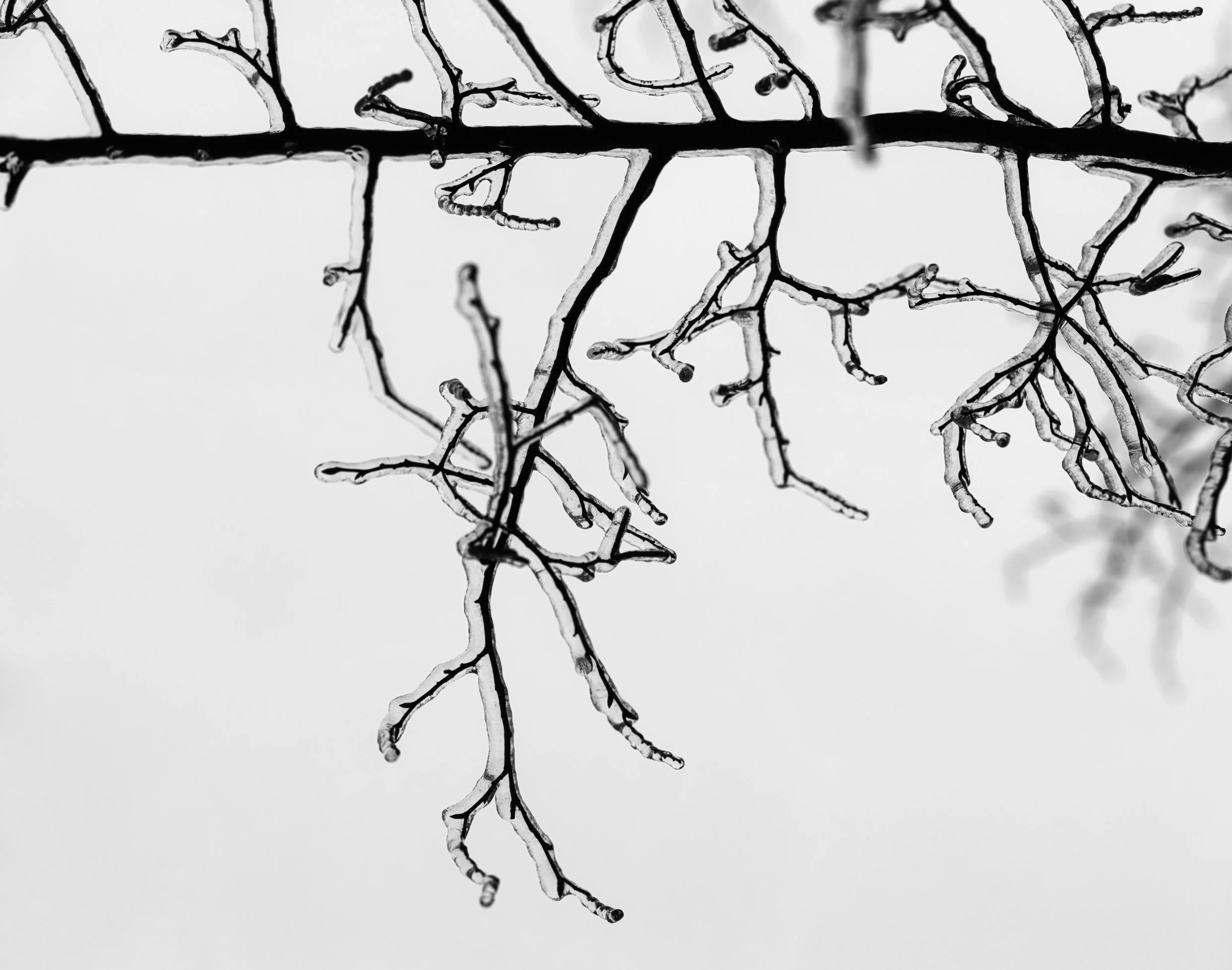 icy minimalism full copy.jpg