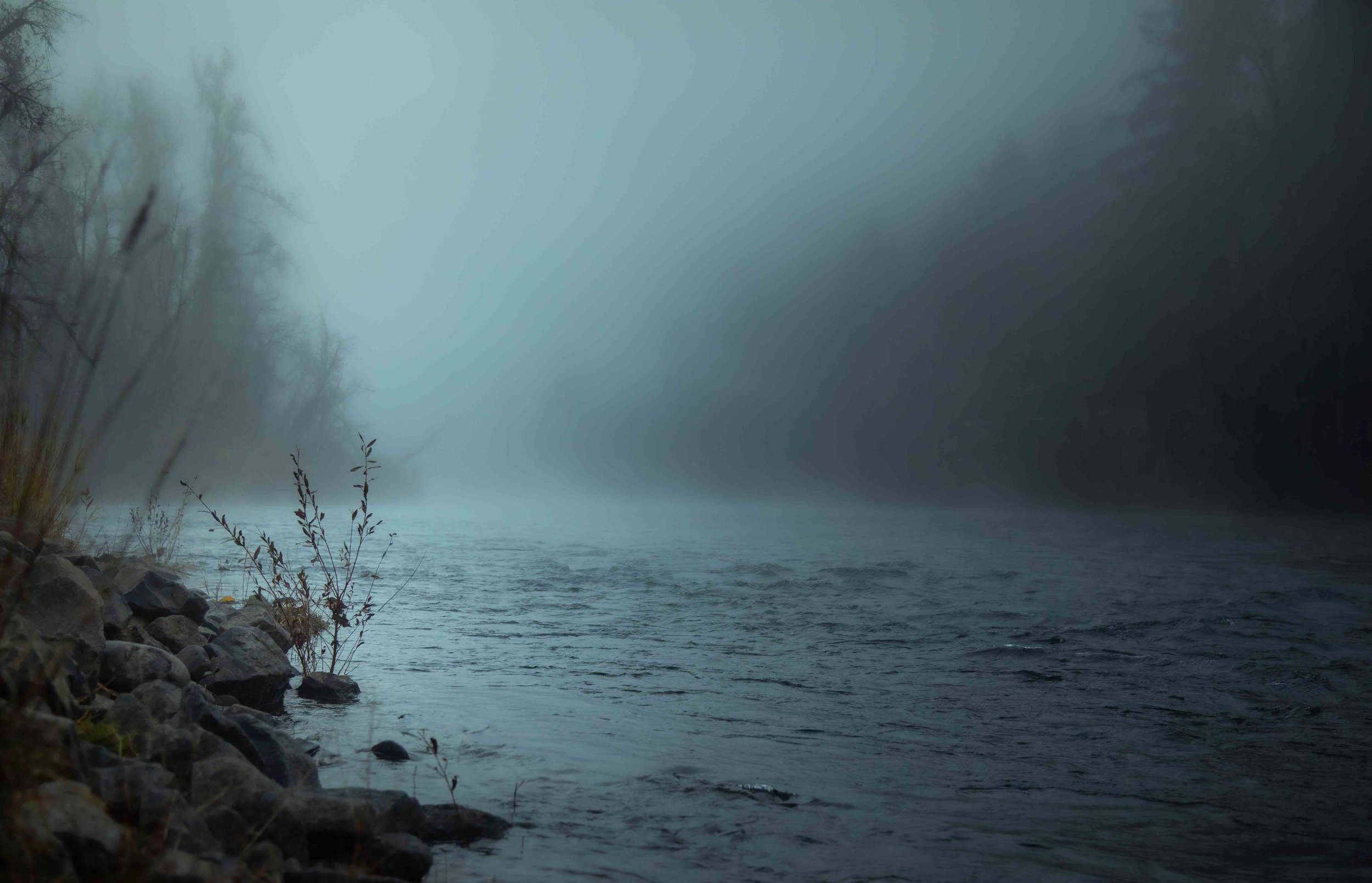 foggy oregon winter river copy.jpeg