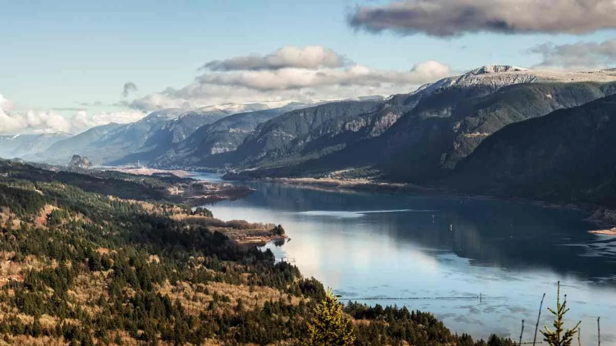 dog mountain pan 16x9 alternate.jpg