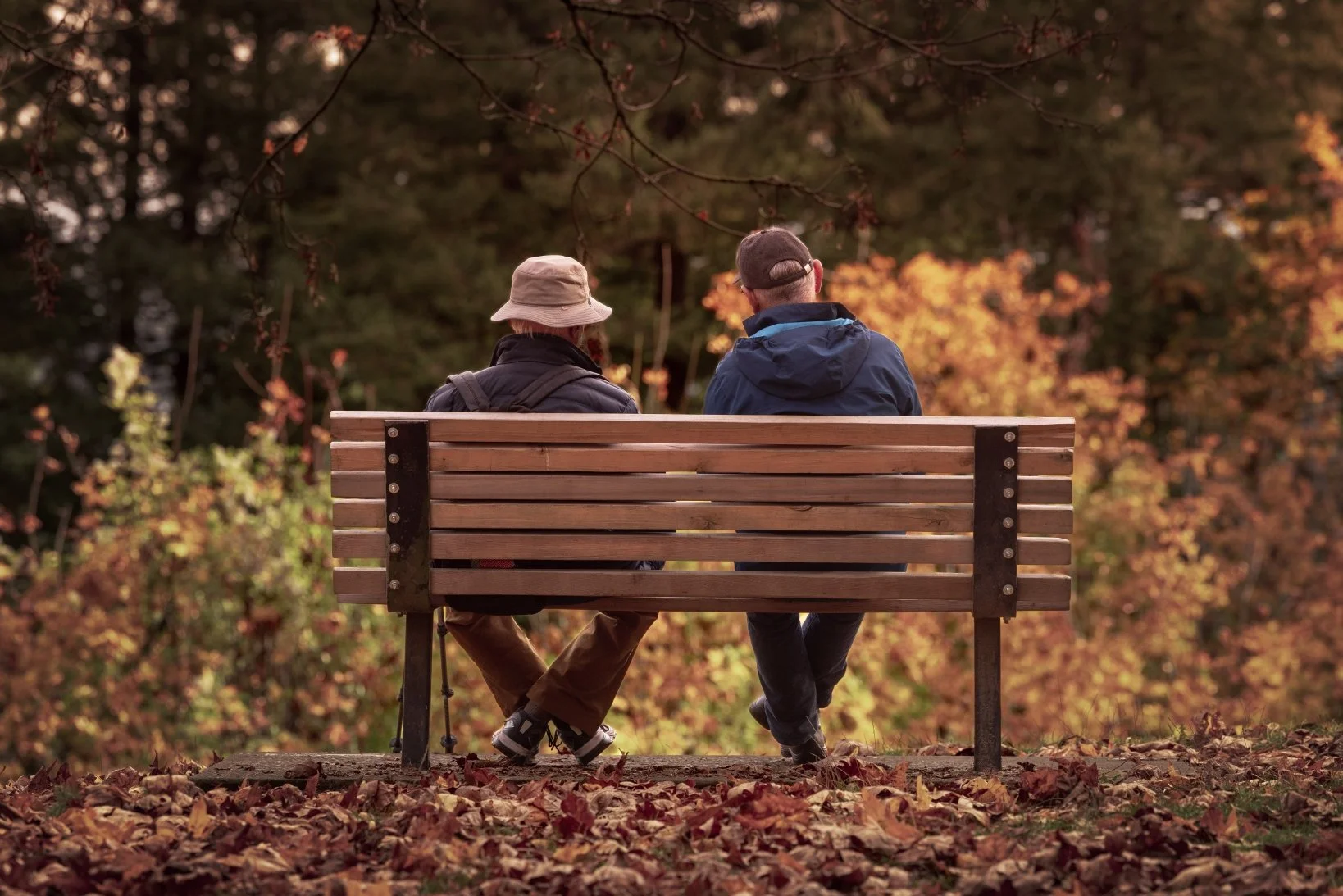 old friends on a bench from behind copy.jpg