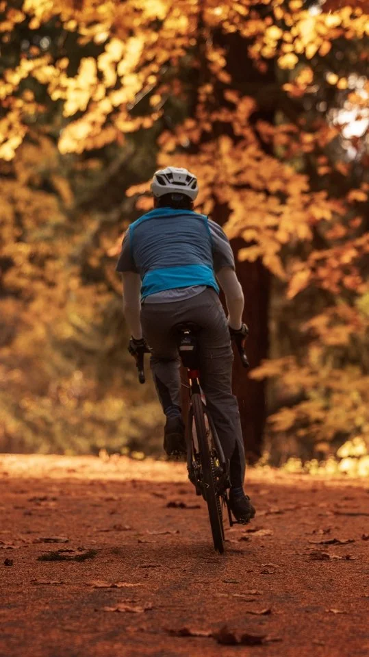 fall cyclist copy9x16.jpg