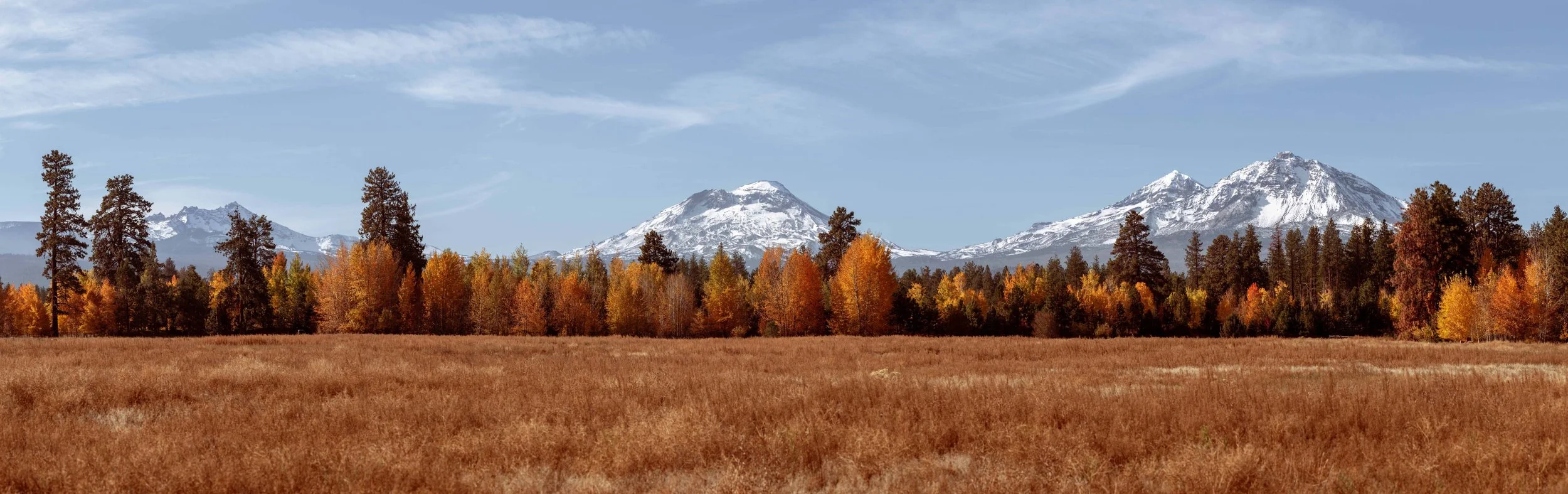 sisters at fall copy.jpg