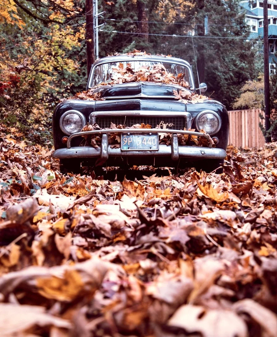 vintage fall car composite attempt.jpg