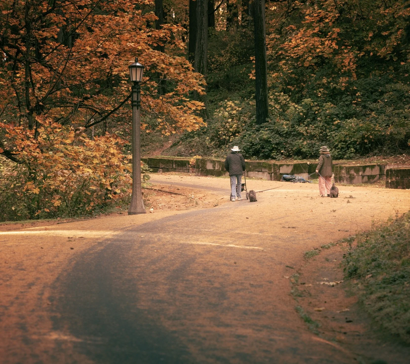 elderly couple walking on tabor copy.jpg
