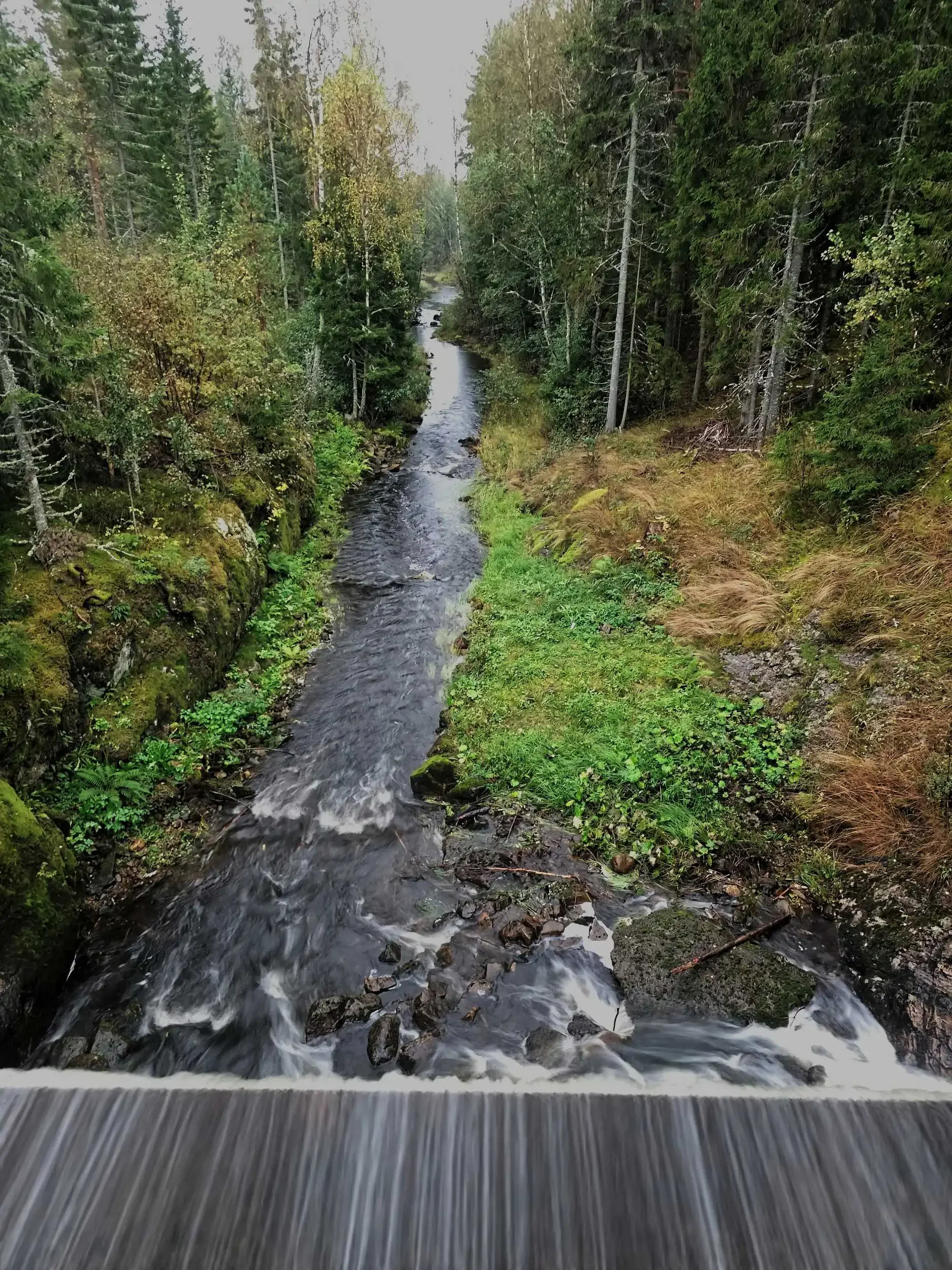 Nature 2-20250920_171106.webp