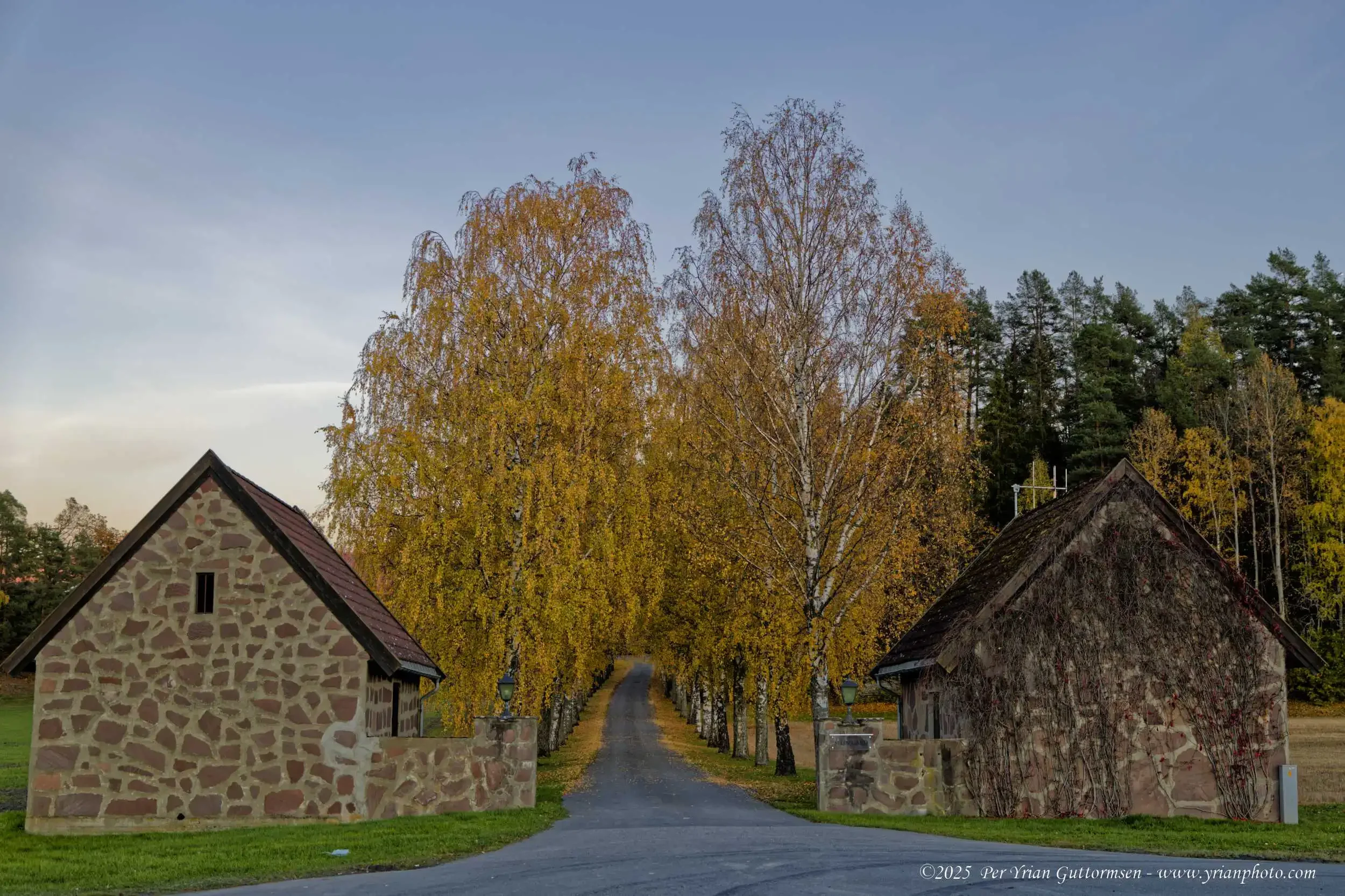 Nature road 2_Q3A1025.webp