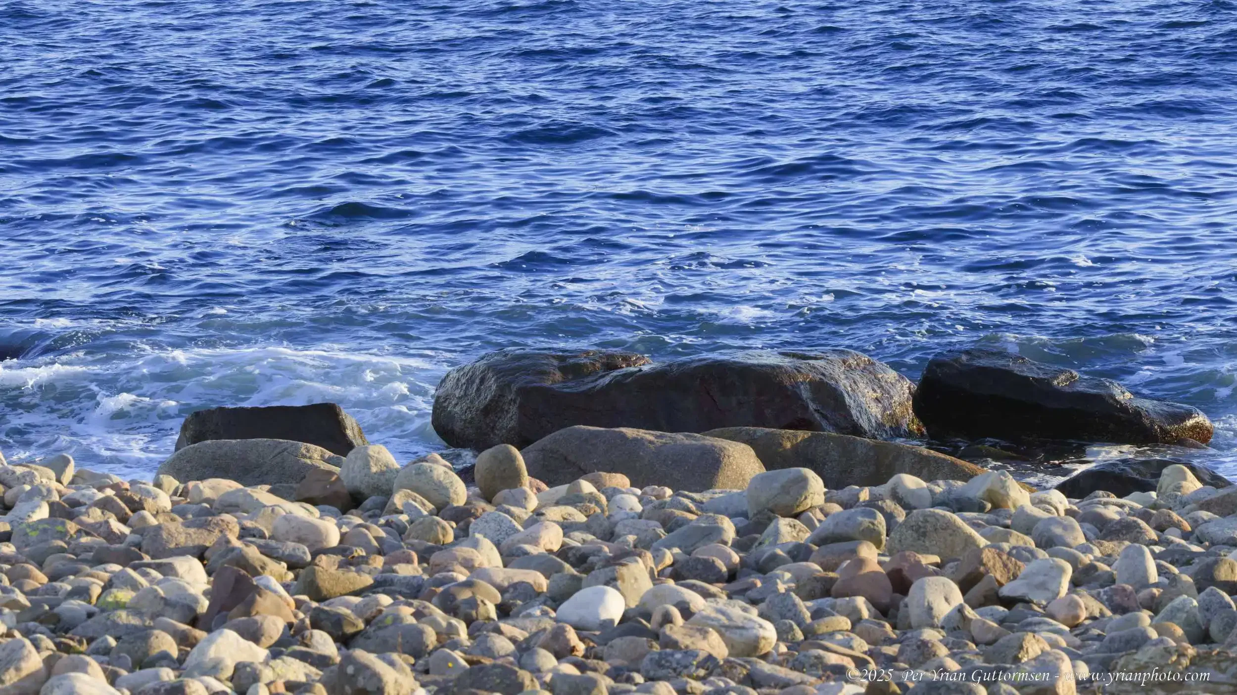 Coast 2_Q3A0743.webp