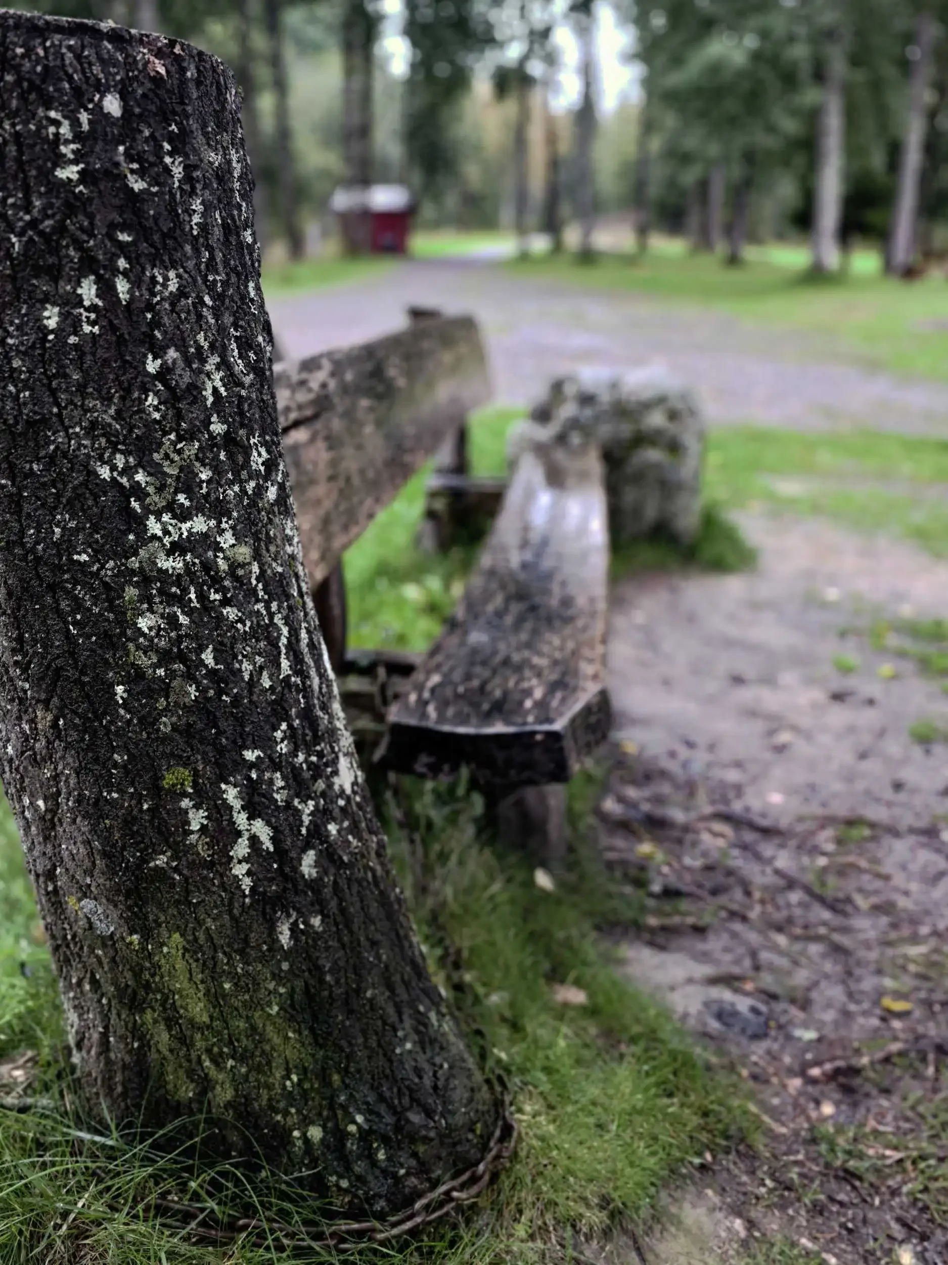 Nature 420250920_173222.webp