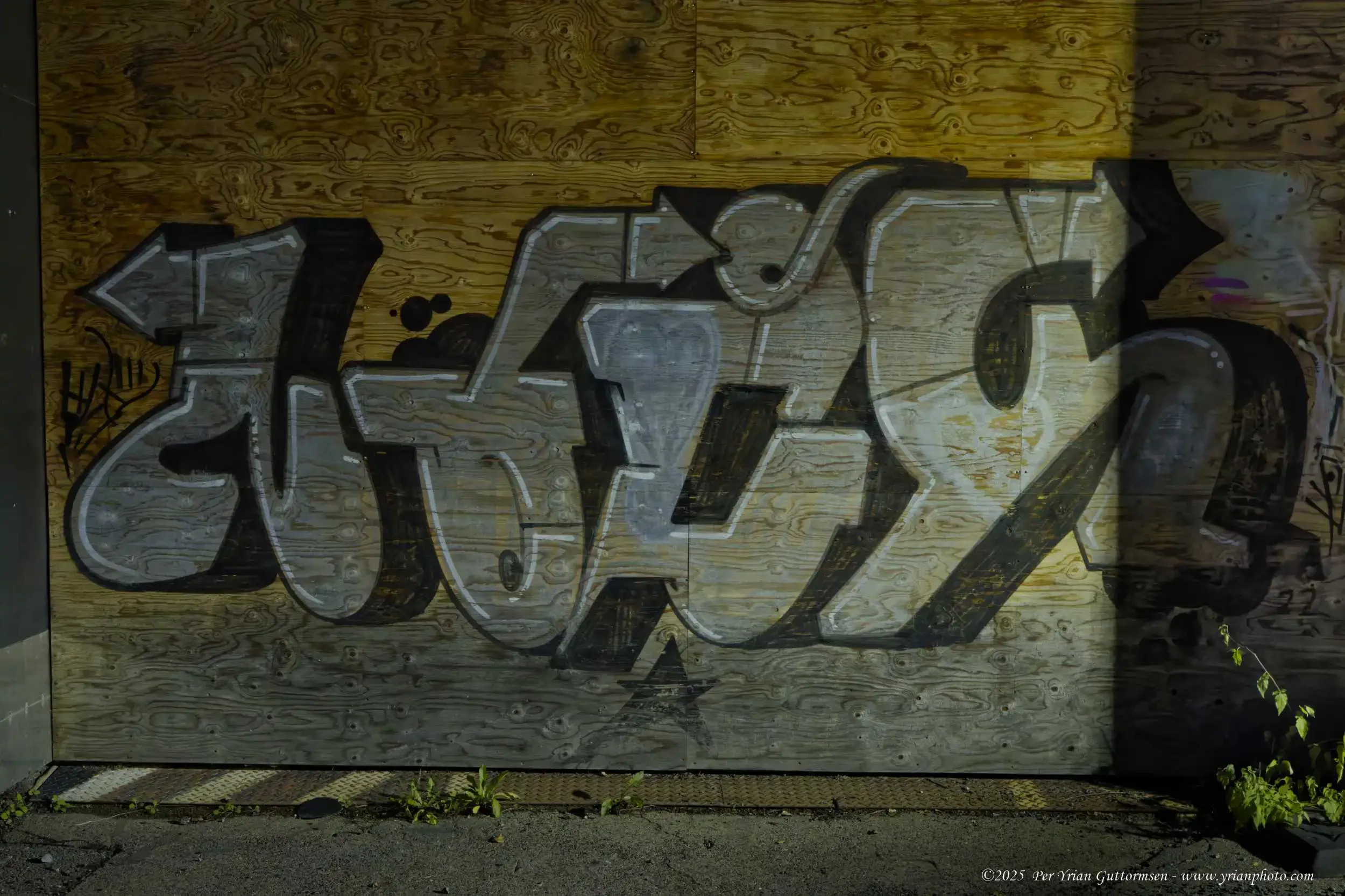 StreetArt 5_Q3A1689.webp