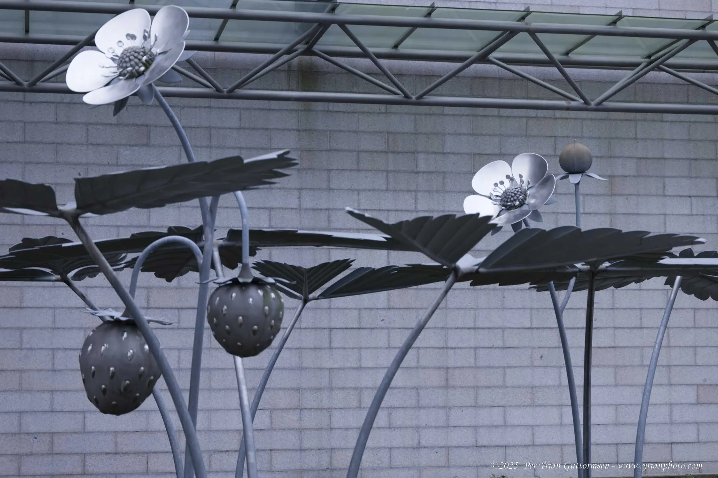 Helsinki 21_Q3A1986.webp