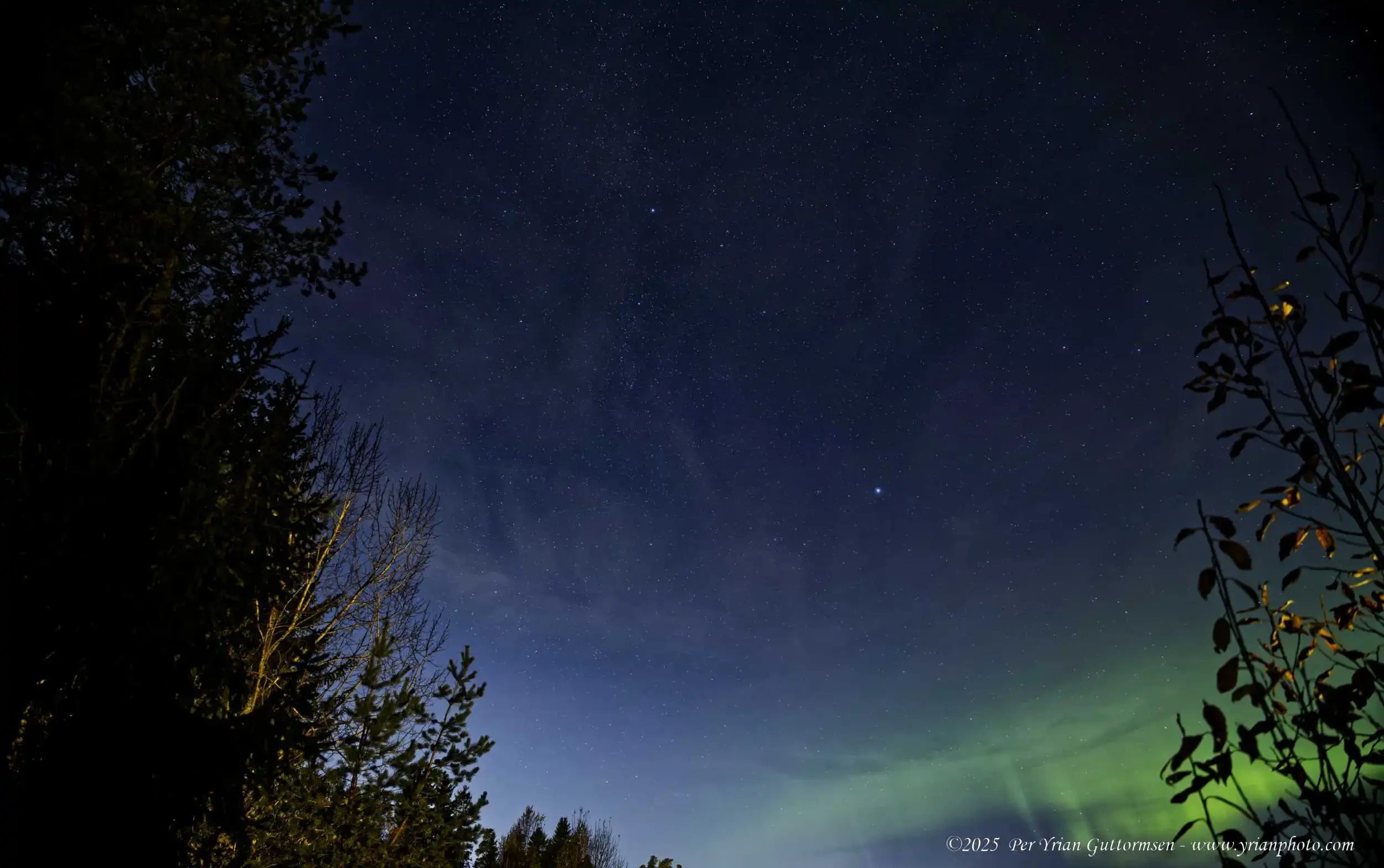 Aurora Sky 1_Q3A1034.webp