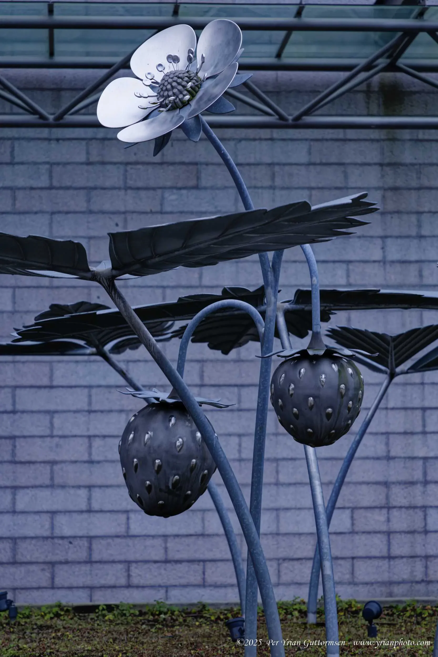 Helsinki 22_Q3A1990.webp