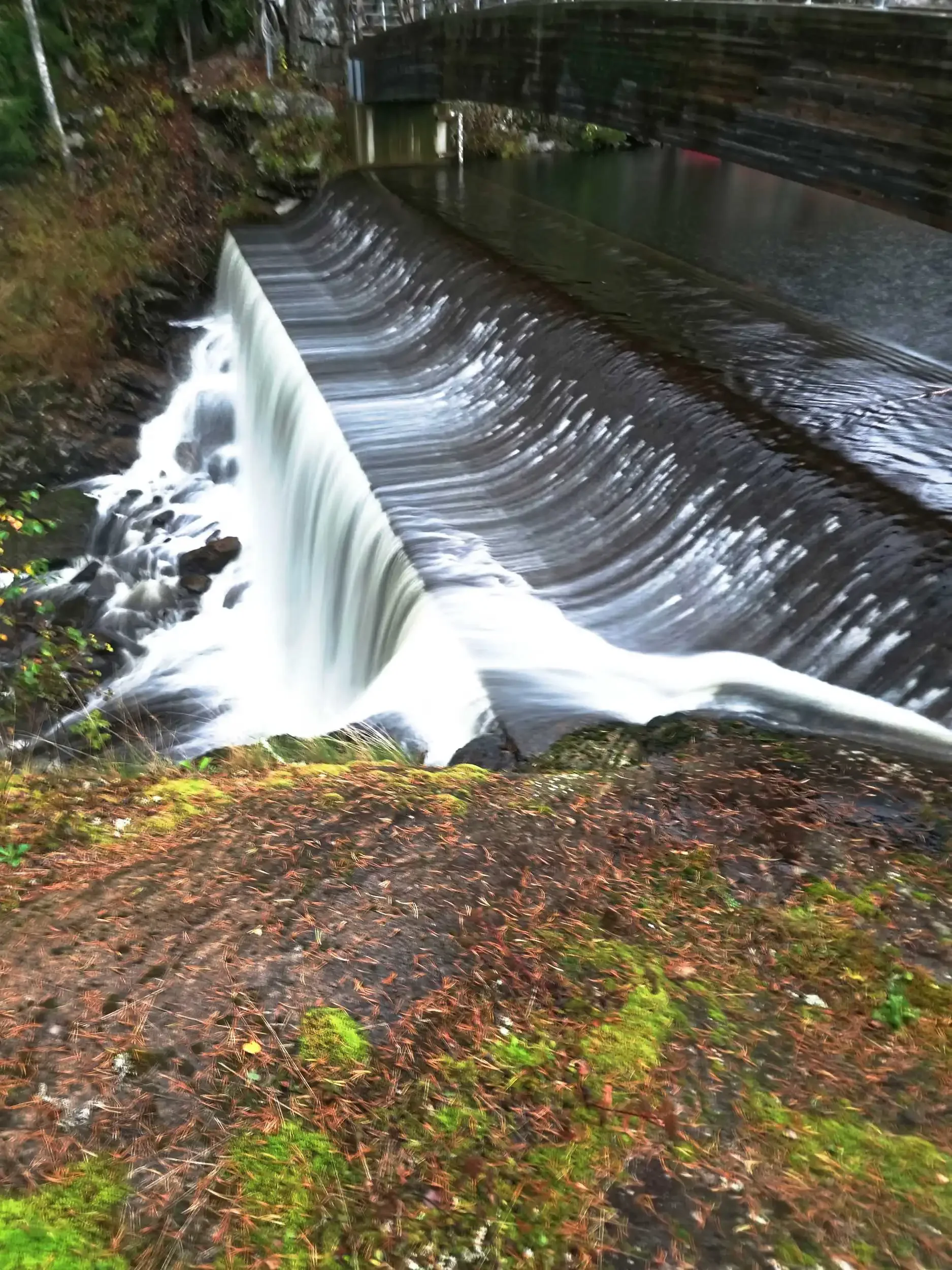 Natures piano 1b-50prcnt-20250920_170941.webp