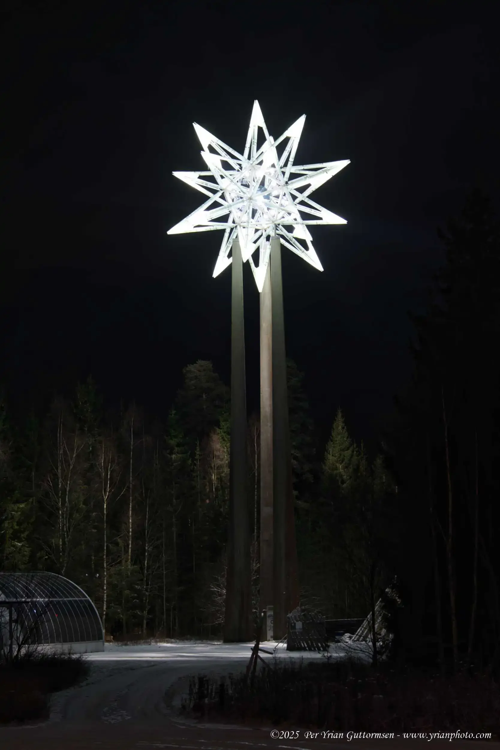 Art Lights_and_Signs 1_Q3A1741.webp