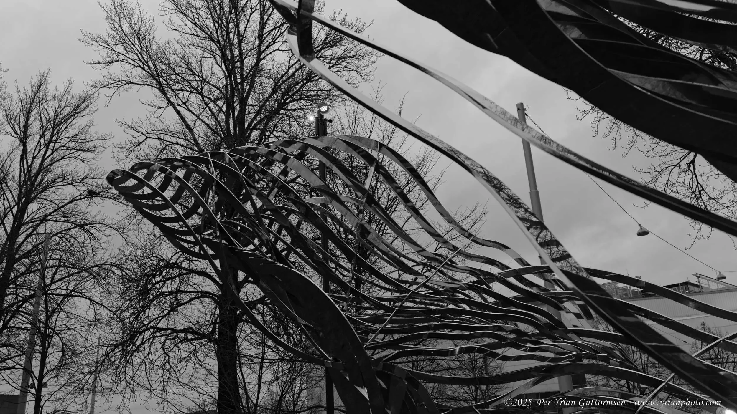 Helsinki 19b_Q3A1980.webp