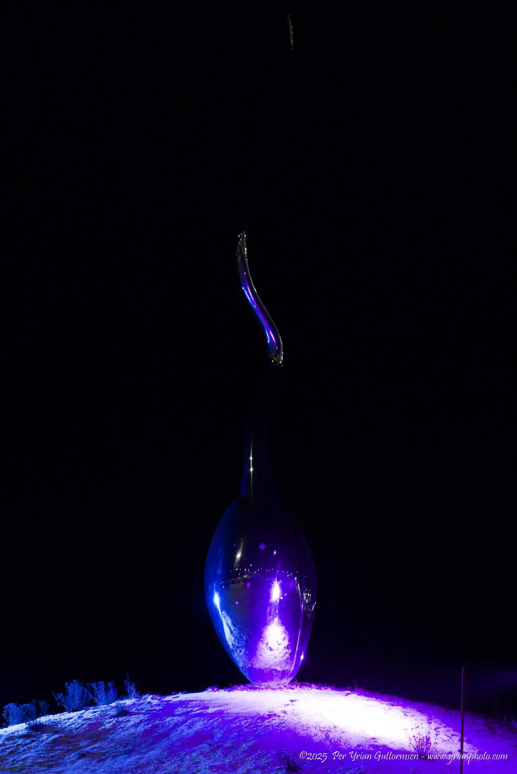 Art Lights_and_Signs 4d_Q3A1760.webp