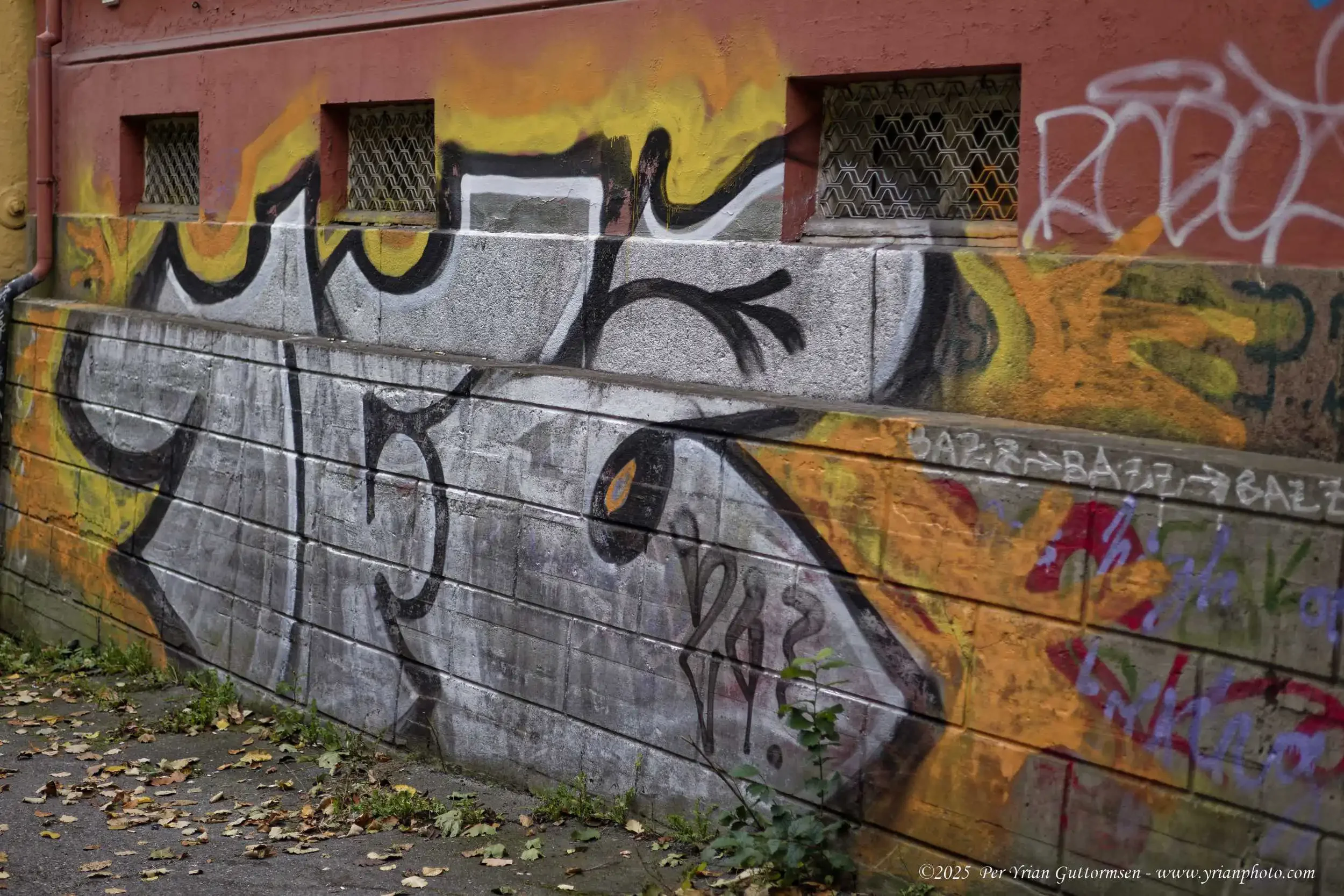 StreetArt 1_Q3A0658.webp