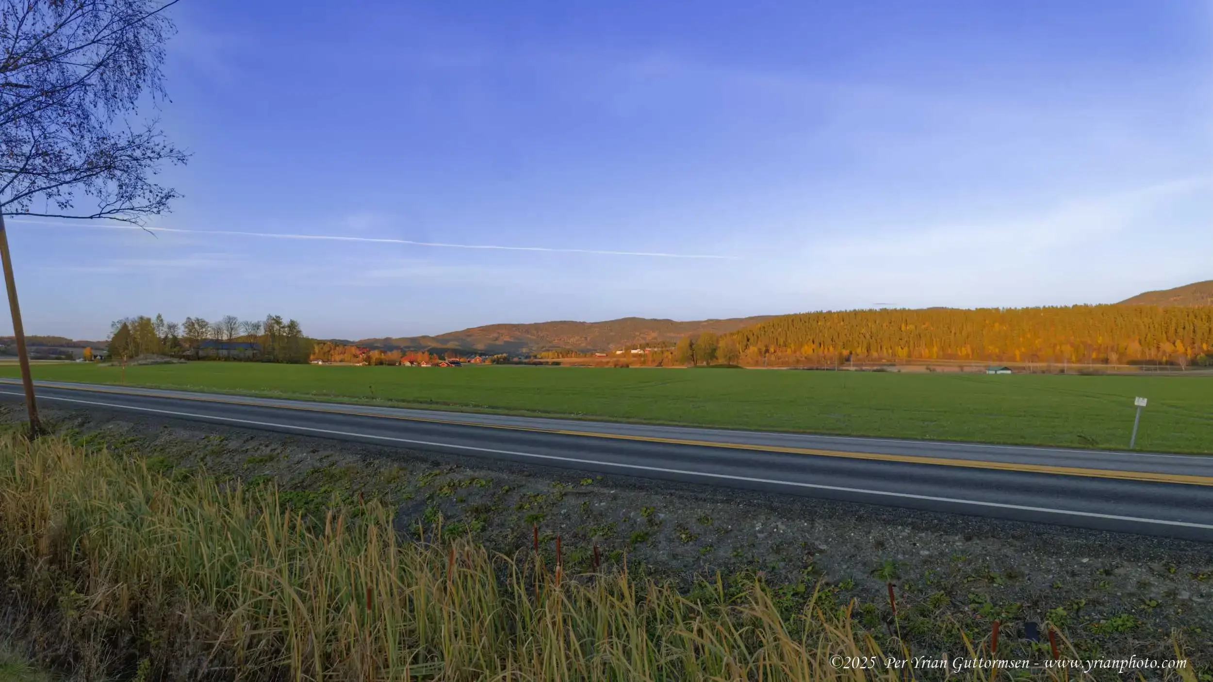 Nature road_Q3A1015.webp