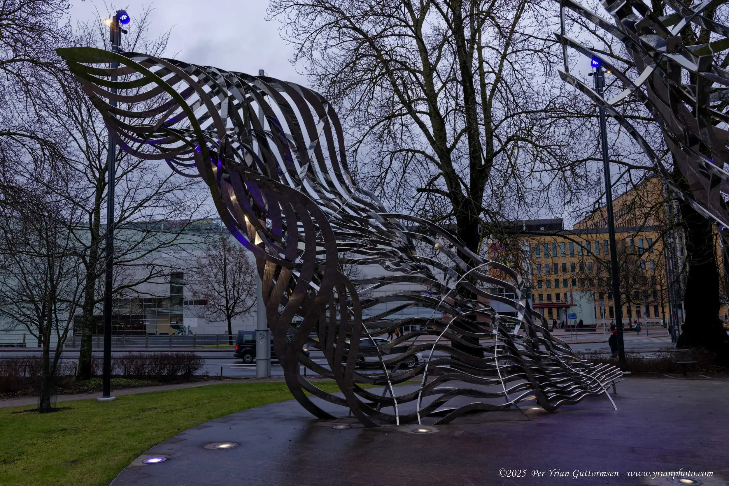 Helsinki 20_Q3A1981.webp