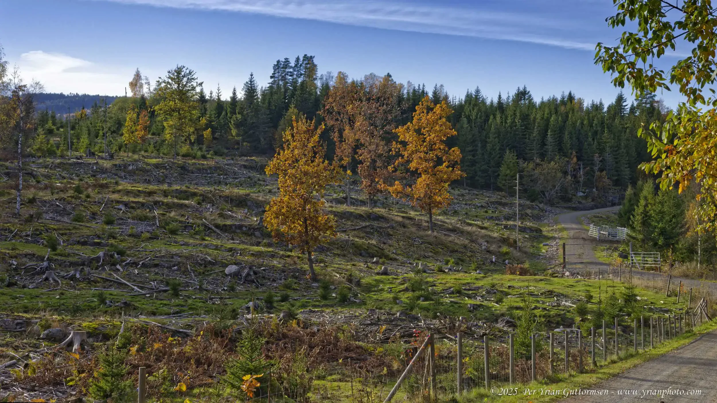 Nature 10_Q3A0710.webp