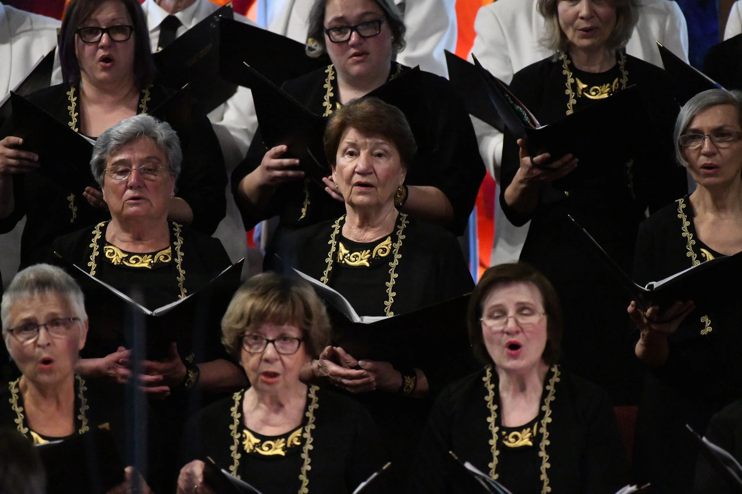 D85_1233.JPG