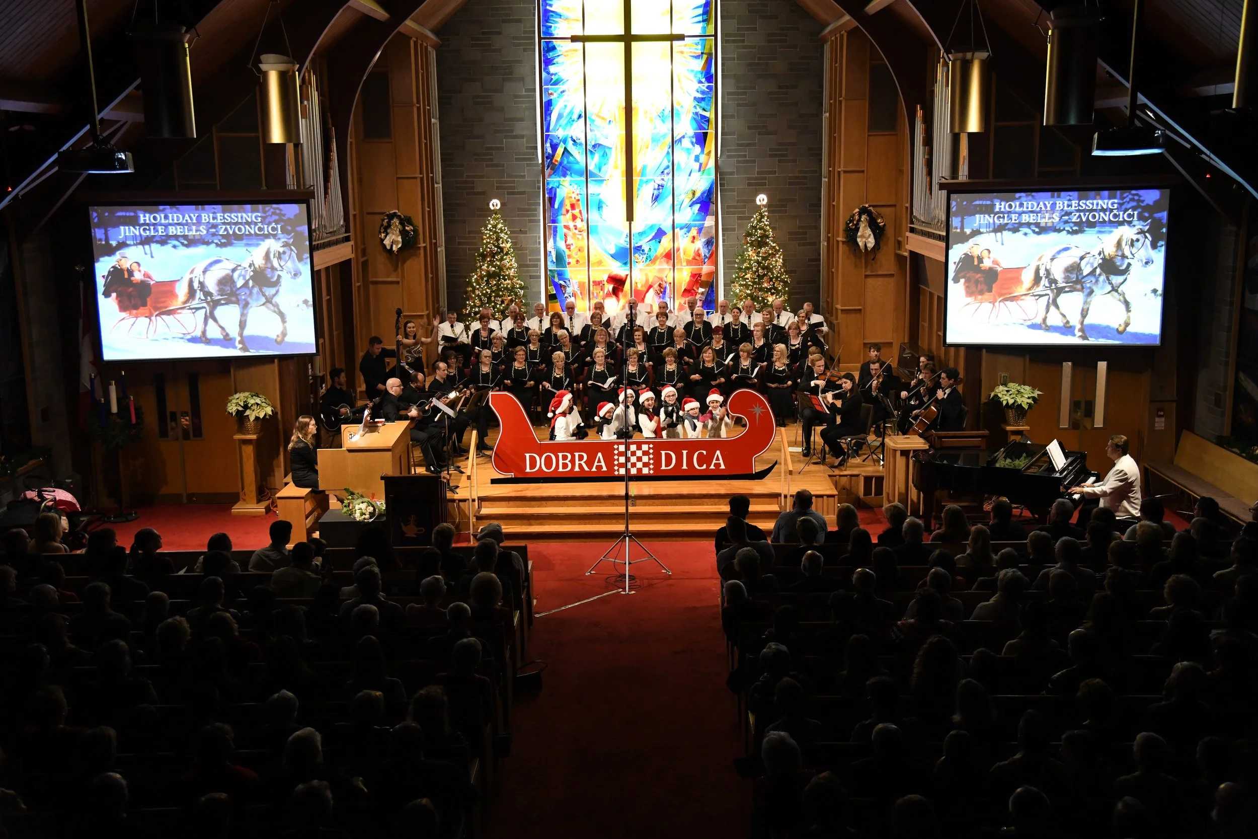 D85_5504.JPG